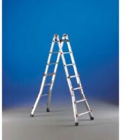 escalisima82b823escalisima82b8.jpg.jpg