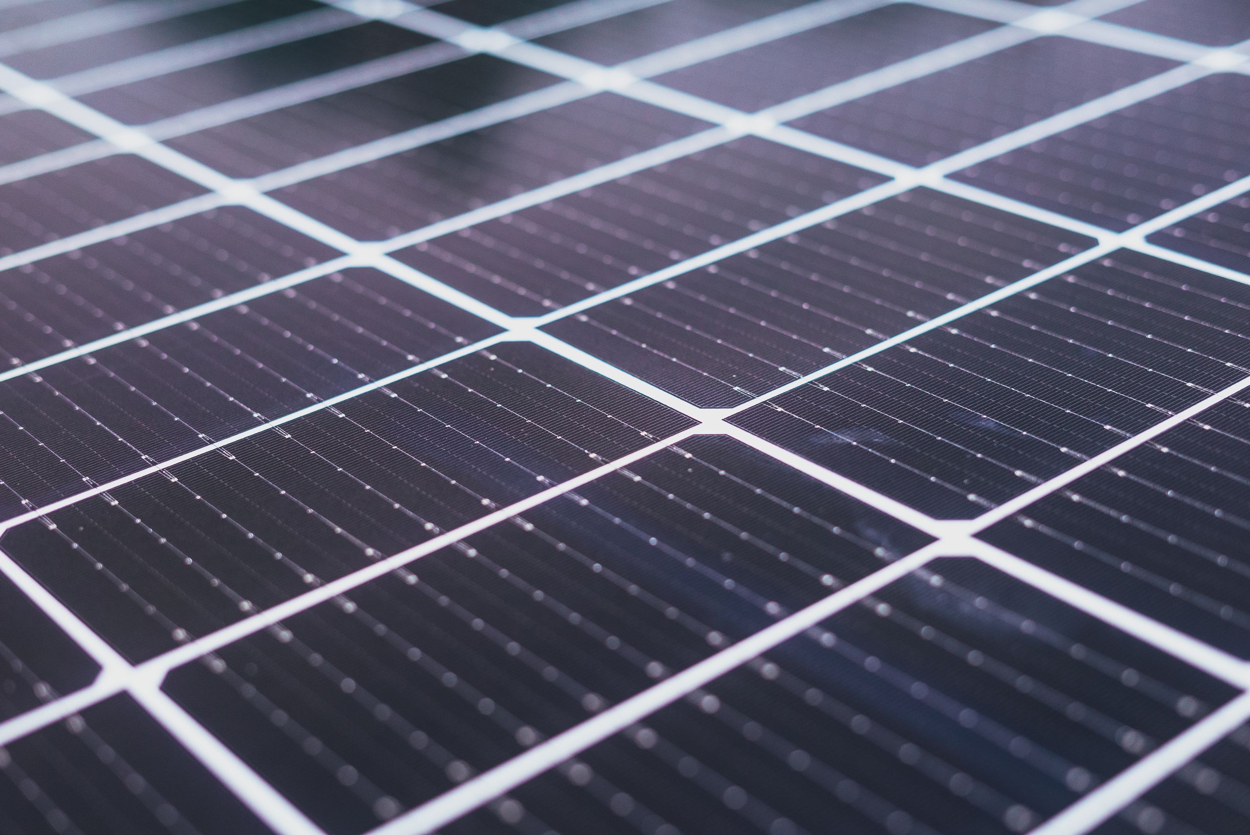 Paneles solares